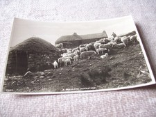 Postcard highland homestead for sale  LAIRG