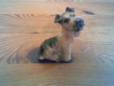 mini hunde gebraucht kaufen mini hunde gebraucht kaufen Hannover