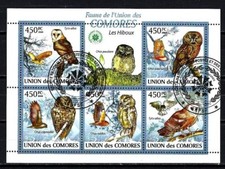Animaux oiseaux hiboux d'occasion  Lésigny