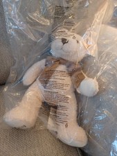 2019 steiff cosy for sale  WYMONDHAM
