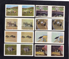 Weetabix cards pets for sale  WIGAN