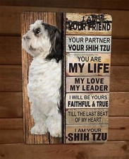 Your shih tzu d'occasion  Expédié en Belgium