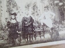 Photo albumin 1880 d'occasion  Expédié en Belgium