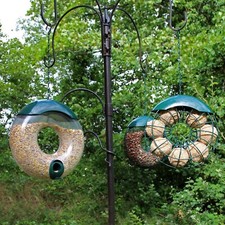 Hanging wild bird for sale  UK