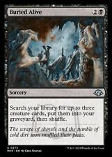 Buried alive modern for sale  CANTERBURY