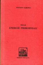 Delle energie primordiali usato  Italia
