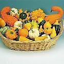 Ornamental gourd improved for sale  WREXHAM