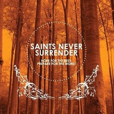 Saints never surrender gebraucht kaufen  Berlin