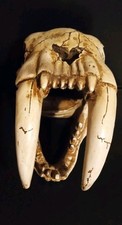 Saber tooth tiger for sale  Crooksville