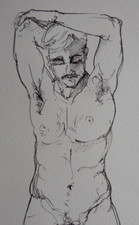 Fine art pen for sale  ABERYSTWYTH