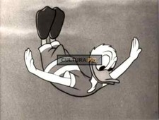 Photography donald duck d'occasion  Marseille I