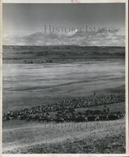 1960 press photo for sale  Memphis