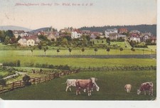 Berhof panorama gl1926 gebraucht kaufen  Deutschland