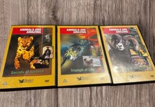 Animals amazing dvd for sale  BLAENAU FFESTINIOG