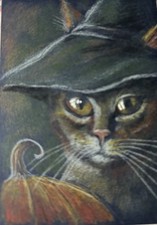 Aceo orig. wizard for sale  Greencastle