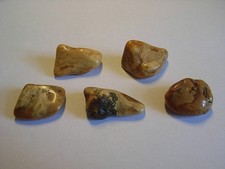 Bernsteine natur butterscotch gebraucht kaufen  Erlenbach a.Main