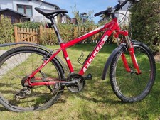 Focus mountainbike sport gebraucht kaufen  Reutlingen