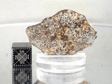 Nwa 869 11.74g for sale  Eureka