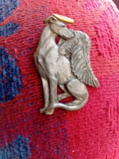 greyhound for sale greyhound for sale MALDON
