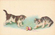 Cats and spool d'occasion  Expédié en Belgium