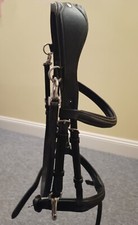 bridle cob for sale  STANLEY