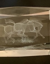 Laser etched horses for sale  Edmond