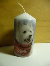 Deko kerze tiere gebraucht kaufen Deko kerze tiere gebraucht kaufen  Berlin