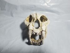 Small skull reptile for sale  Murrysville