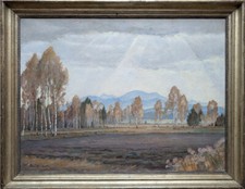 Rudolf sieck 1877 gebraucht kaufen  Prien a.Chiemsee