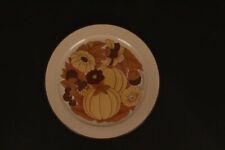Terra prato brotzeitteller gebraucht kaufen  Untersiemau