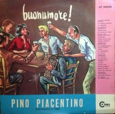 Pino piacentino fisarmonica usato  Vercelli