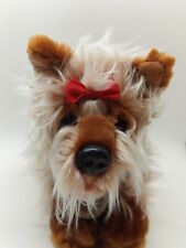 Maisy yorkshire terrier for sale  EDINBURGH