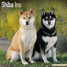 Calendrier 2021 shiba d'occasion  Troyes