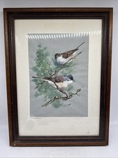 Altes aquarell dorngrasmücke gebraucht kaufen  Berlin