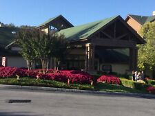Wyndham smoky mountains for sale  Garner