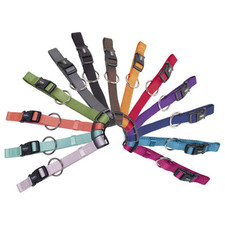 Nobby halsband classic gebraucht kaufen  Arolsen