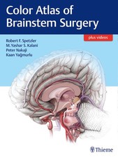 Color atlas brainstem gebraucht kaufen  Einbeck