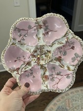 Pink antique oyster for sale  Greenville