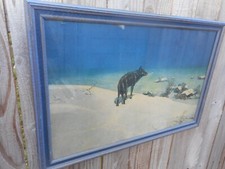Antique vintage large for sale  San Antonio