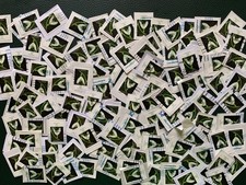 Kiloware 110 schneeglöckchen gebraucht kaufen  Ransbach-Baumbach