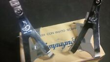 Fermapiedi record campagnolo usato  Modugno