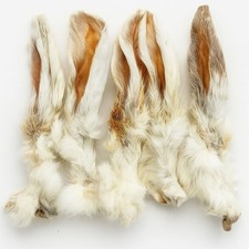 1kg rabbit ears for sale  NEWPORT