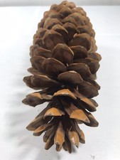 Pine cone crafts for sale  Toledo