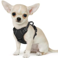 Harnais chien harnais d'occasion  Lyon I