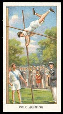 Boguslavsky pole jump for sale  LLANRWST