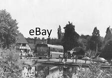 Photo 10x8 alder for sale  NORWICH