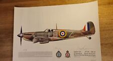 Squadron print p7350 for sale  BANWELL