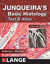 Usado, Junqueira's Basic Histology  by Anthony Mescher comprar usado  Enviando para Brazil