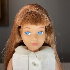 Vintage skipper doll for sale  Westmont