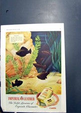 Old print cussons for sale  UK